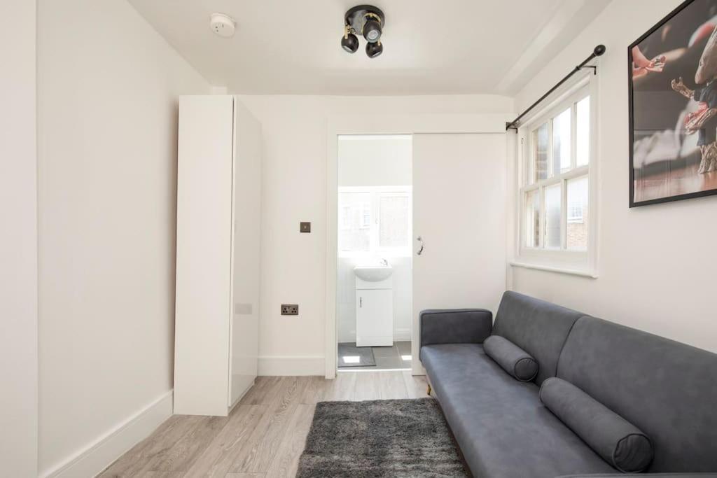 Spacious Serenity In The Heart Of Central 런던 외부 사진