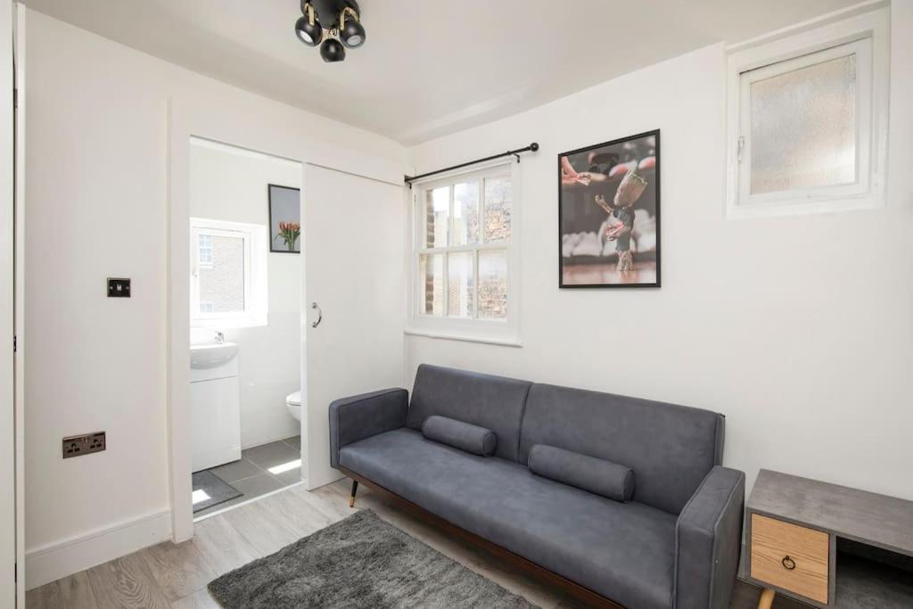 Spacious Serenity In The Heart Of Central 런던 외부 사진